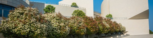 GreenBIMxels ecosistema