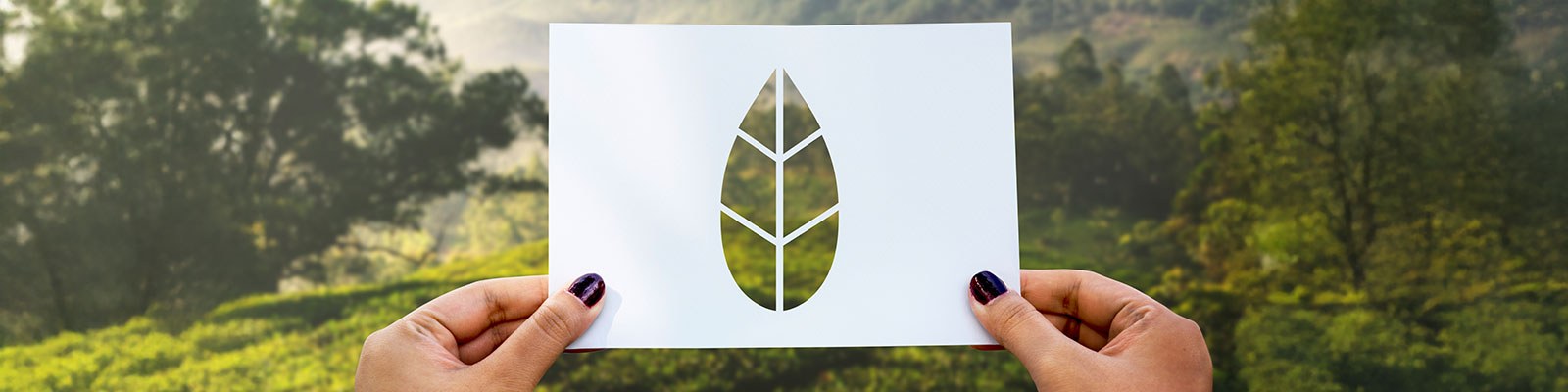 Anàlisi de la petjada de carboni en edificis públics